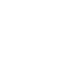 Fund security (Figure 2) Fund security (Figure 2)